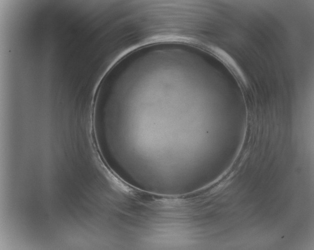 X0000071781244200607071421