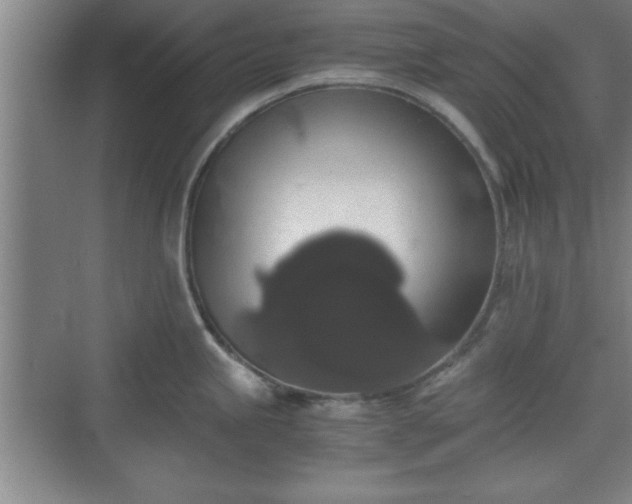 X0000071781245200607071421