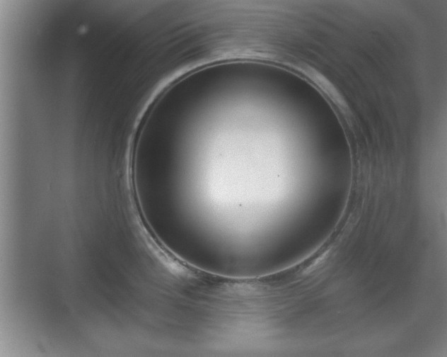 X0000071781246200607071421