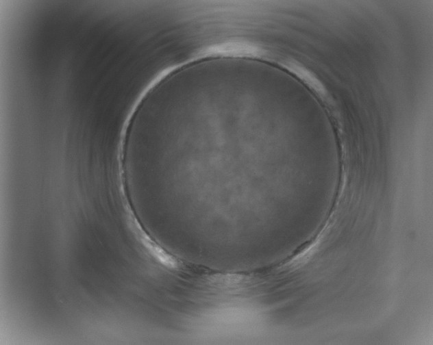 X0000071781248200607071422