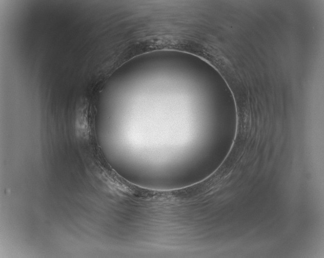 X0000071781250200607071421