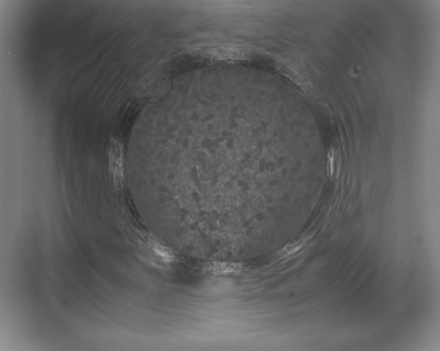 X0000071781251200607071421