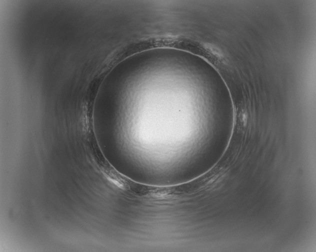 X0000071781252200607071421