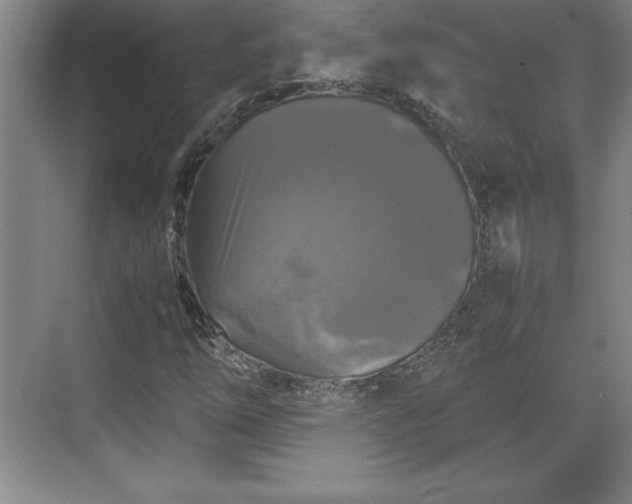 X0000071781254200607071421