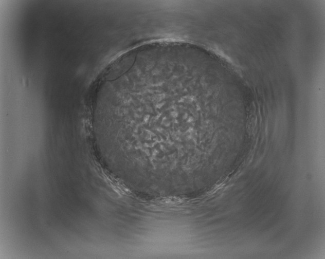 X0000071781255200607071421