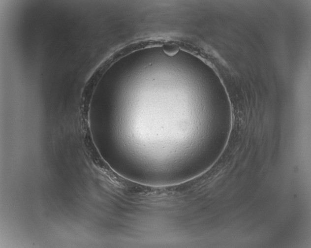 X0000071781256200607071421