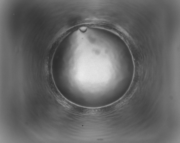 X0000071781259200607071421