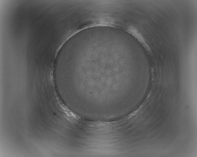 X0000071781260200607071421