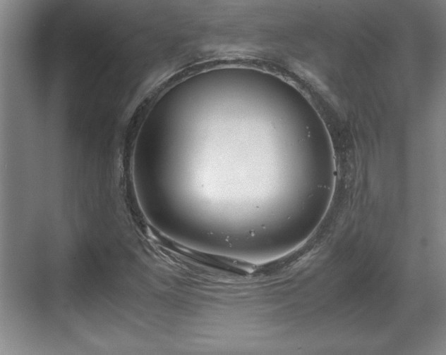 X0000071781261200607071421