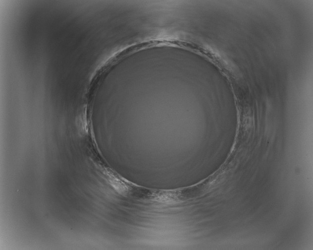 X0000071781262200607071420