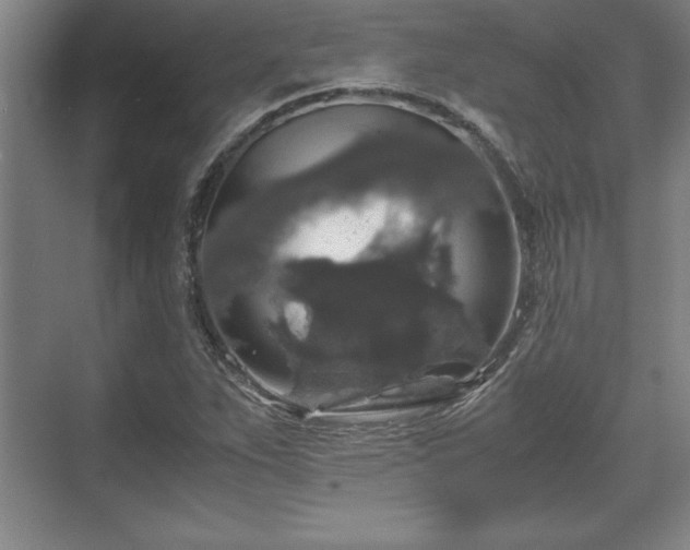 X0000071781263200607071420