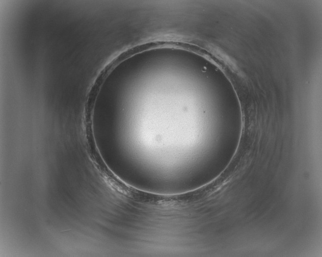 X0000071781264200607071420