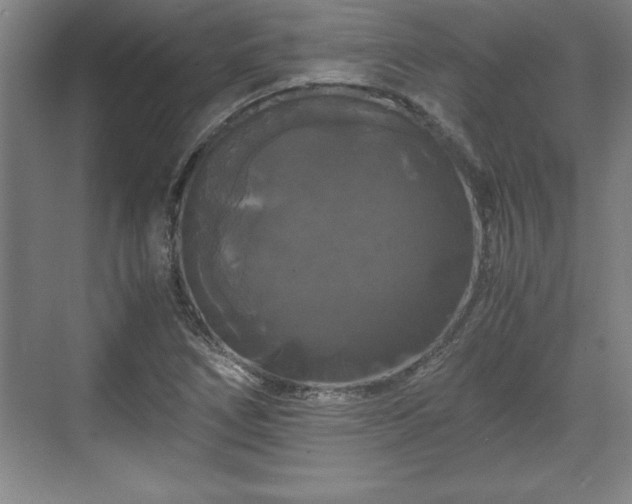 X0000071781266200607071420