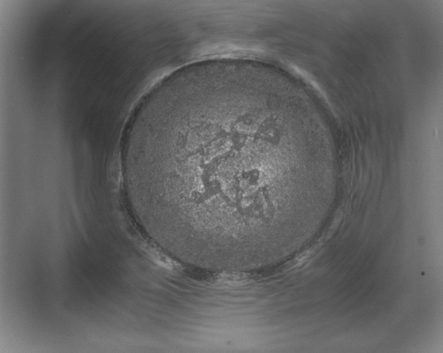 X0000071781267200607071420