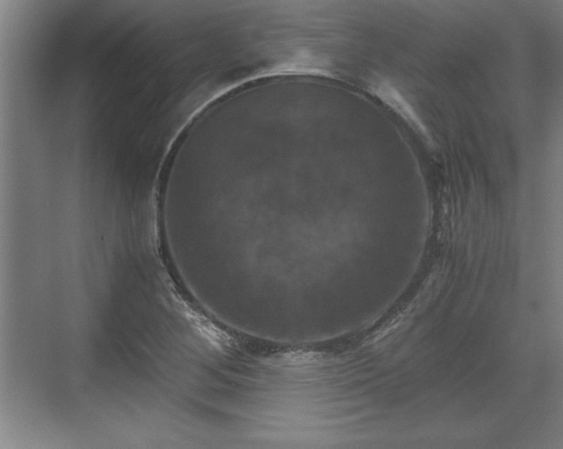 X0000071781268200607071420