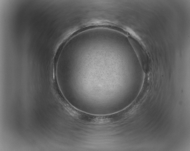 X0000071781269200607071420