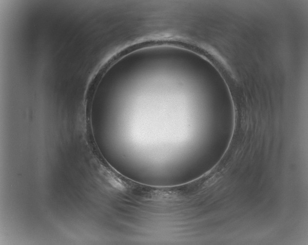 X0000071781270200607071420