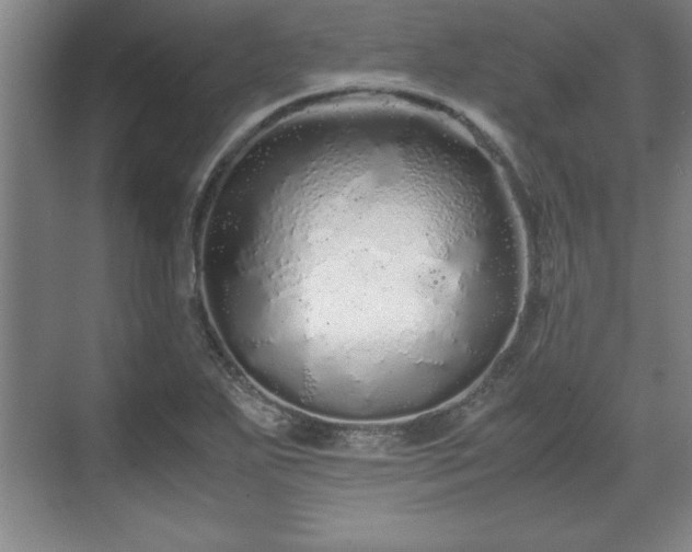 X0000071781271200607071420