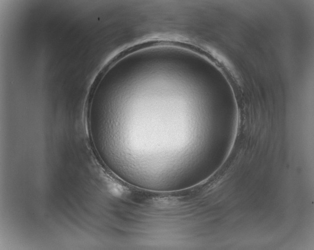 X0000071781272200607071420