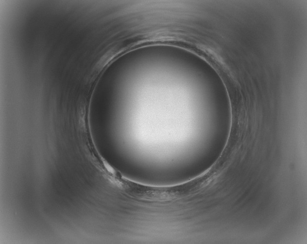 X0000071781273200607071420