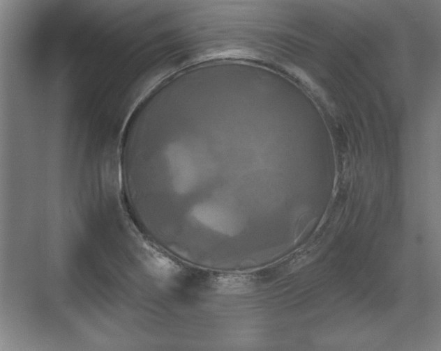 X0000071781274200607071420