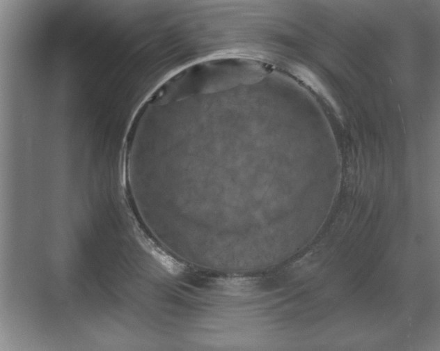 X0000071781276200607071420