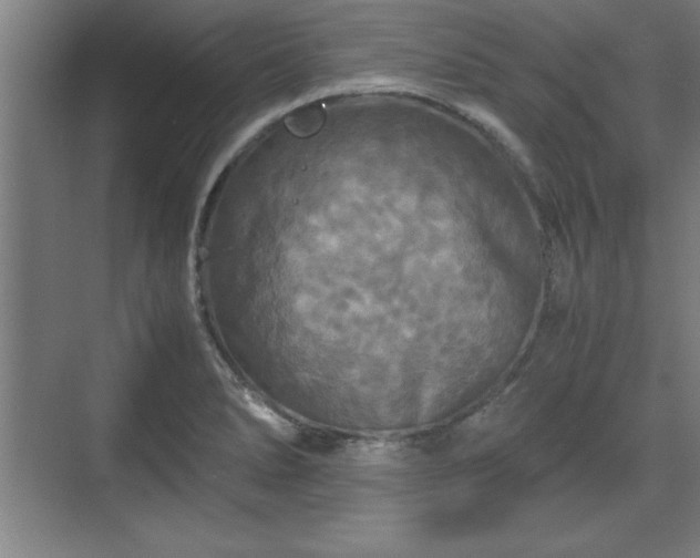 X0000071781278200607071420