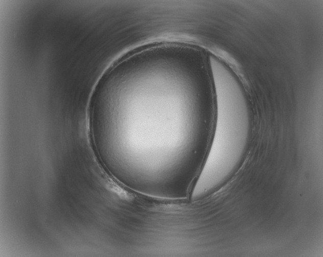 X0000071781280200607071420