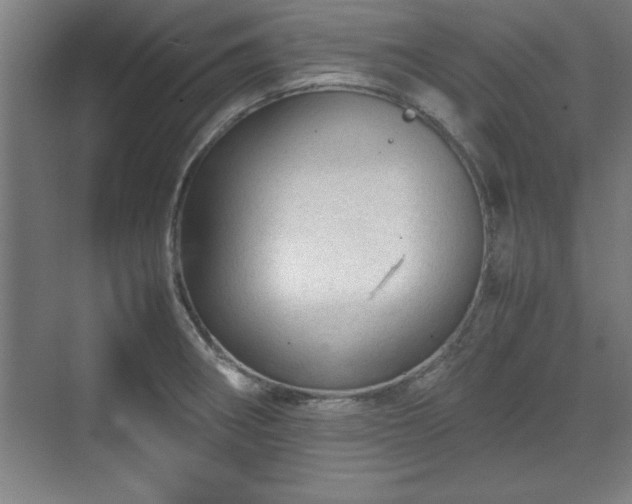 X0000071781282200607071420