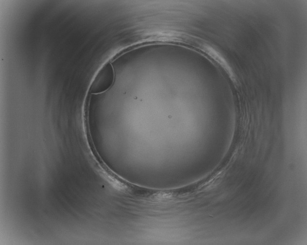 X0000071781283200607071420