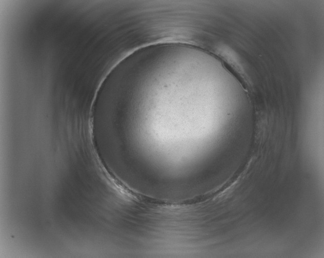 X0000071781284200607071420