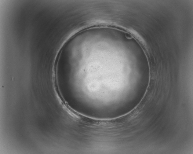 X0000071781287200607071420