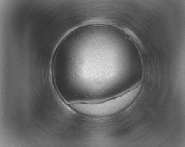 X0000071781288200607071420