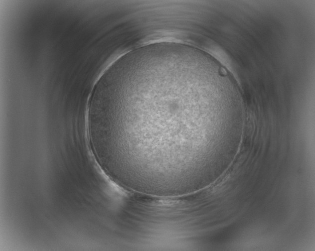 X0000071781290200607071420