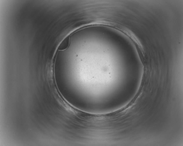 X0000071781292200607071420