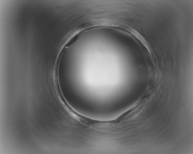 X0000071781293200607071420