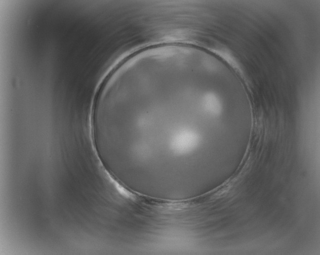 X0000071781294200607071420