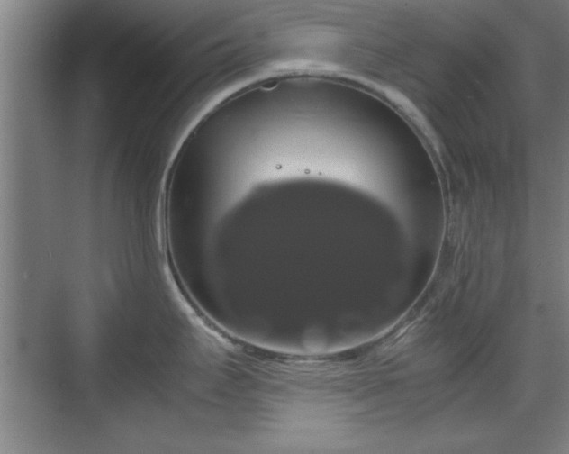 X0000071781295200607071420