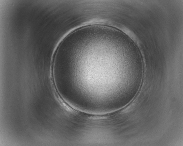 X0000071781296200607071420