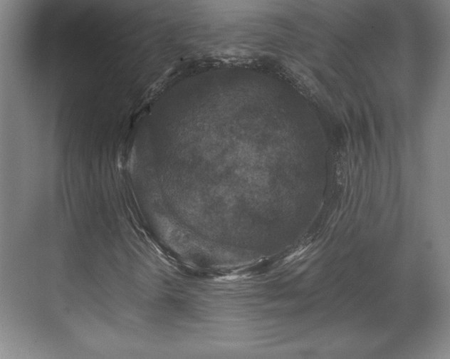 X0000071781298200607071419