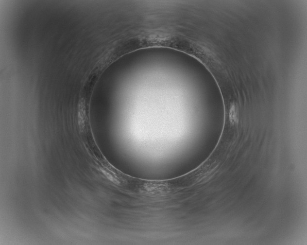 X0000071781299200607071419