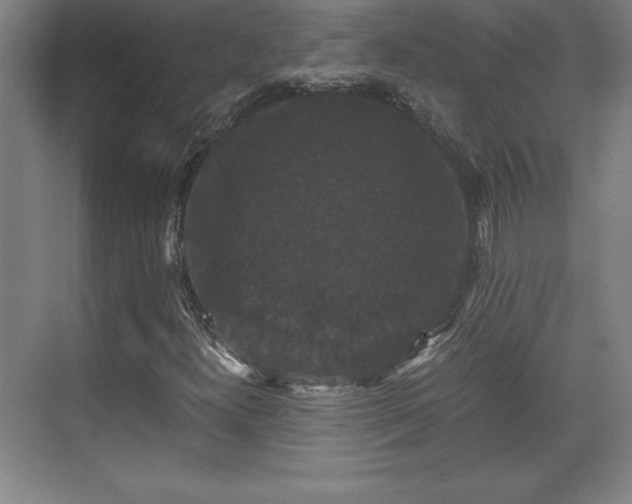 X0000071781300200607071419