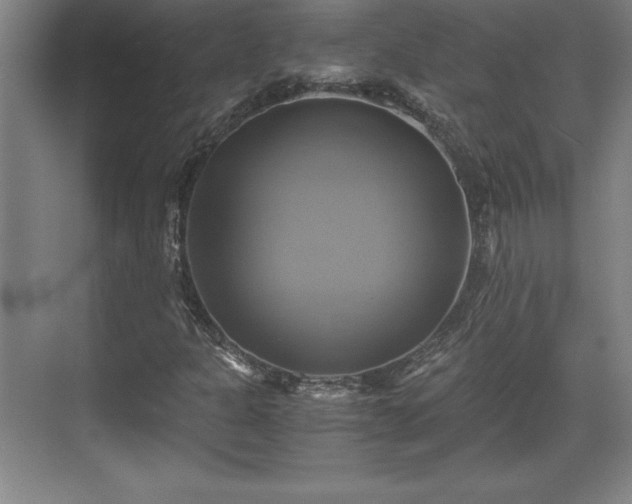 X0000071781301200607071419