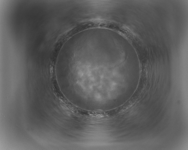 X0000071781302200607071419