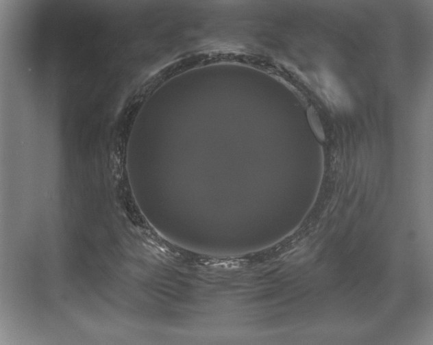 X0000071781303200607071419