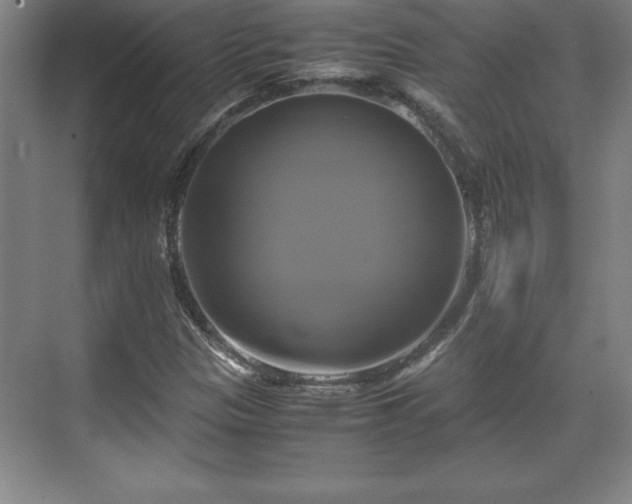 X0000071781305200607071419