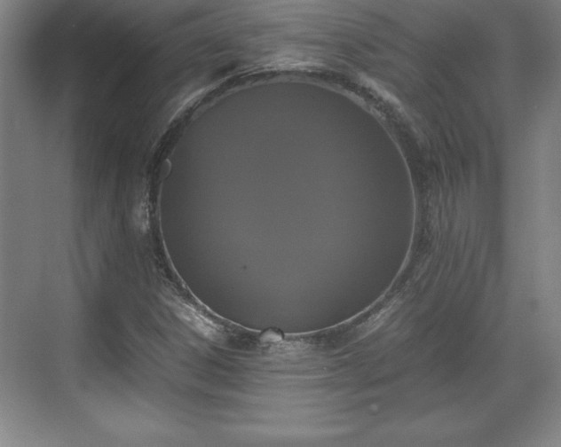 X0000071781306200607071419