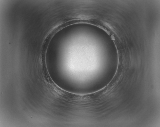 X0000071781307200607071419