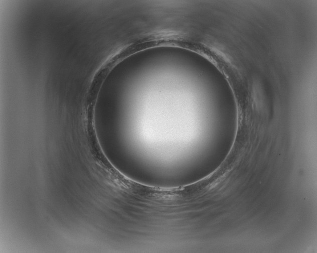 X0000071781309200607071419