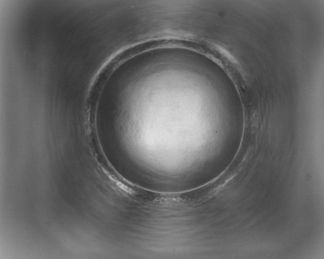 X0000071781310200607071419